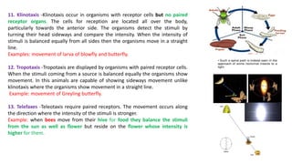 11. Klinotaxis -Klinotaxis occur in organisms with receptor cells but no paired
receptor organs. The cells for reception are located all over the body,
particularly towards the anterior side. The organisms detect the stimuli by
turning their head sideways and compare the intensity. When the intensity of
stimuli is balanced equally from all sides then the organisms move in a straight
line.
Examples: movement of larva of blowfly and butterfly.
12. Tropotaxis -Tropotaxis are displayed by organisms with paired receptor cells.
When the stimuli coming from a source is balanced equally the organisms show
movement. In this animals are capable of showing sideways movement unlike
klinotaxis where the organisms show movement in a straight line.
Example: movement of Greyling butterfly.
13. Telefaxes -Teleotaxis require paired receptors. The movement occurs along
the direction where the intensity of the stimuli is stronger.
Example: when bees move from their hive for food they balance the stimuli
from the sun as well as flower but reside on the flower whose intensity is
higher for them.
 