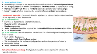 E . Warm and Cold drives
• Human body is sensitive to the warm and cold temperatures of its surrounding environment.
• The changing weather or climatic conditions thus affect the animals as well as human beings.
• Man responses through drives to avoid and escape the extreme temperature ranges.
• Sensory receptors help in perceiving the sensation of warm and cold temperatures.
Temperature regulation - The human drives for avoidance of cold and hot conditions is satisfied
by the regulation of body temperature.
(a) In cold conditions:
• Secretion of thyroxine and adrenaline increases.
• Muscular activity is increased.
• Blood pressure rises.
• Blood circulation takes place in such a way that the blood from the body surface is driven
• to the deeper tissues.
(b) In hot conditions: The hot sensations are felt when the surrounding climatic temperature is
more or raised.
• Body activity slows down.
• Perspiration cools down the body surface.
• The blood vessels at the surface of the body dilate and the large volume of blood is
• exposed for cooling.
• Blood circulation is increased.
Role of hypothalamus in Sleep- The hypothalamus of the brain significantly activates the
warm & cold drive.
 