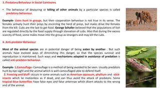 3. Predatory Behaviour in Social Carnivores
• The behaviour of devouring or killing of other animals by a particular species is called
predatory behaviour.
Example- Lions hunt in groups, but their cooperation behaviour is not true in its sense. The
females actively hunt their preys by encircling the herd of preys, but males drive the females
from the kill. Cubs are the last to get food. George Schaller believed that the populations of lion
are regulated directly by the food supply through starvation of cubs. Also that during the excess
scarcity of food, some males move into the group as strangers and may kill the cubs.
4. Anti-predator Behaviour
Most of the animal species are in potential danger of being eaten by another . But such
animals have evolved ways of diminishing this danger, so that the species survival and
reproduction is maintained. Such ways and mechanisms adapted in avoidance of predation is
called anti-predator behaviour.
Example- 1.Camouflage- Camouflage is a method of being avoided to be seen. Usually predators
hunt by eye-sight and the animal which is well-camouflaged able to defend itself.
2. Freezing and bluff- occurs in some animals such as American opossum, phyllium and stick-
insects which lie motionless as if dead, and can thus avoid the attack of predators. Some
tropical blue butterflies have false eyes and false antennae which divert attacks to the wrong
end of the animal.
 
