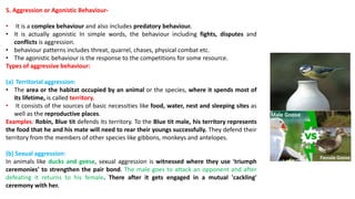 5. Aggression or Agonistic Behaviour-
• It is a complex behaviour and also includes predatory behaviour.
• It is actually agonistic In simple words, the behaviour including fights, disputes and
conflicts is aggression.
• behaviour patterns includes threat, quarrel, chases, physical combat etc.
• The agonistic behaviour is the response to the competitions for some resource.
Types of aggressive behaviour:
(a) Territorial aggression:
• The area or the habitat occupied by an animal or the species, where it spends most of
its lifetime, is called territory.
• It consists of the sources of basic necessities like food, water, nest and sleeping sites as
well as the reproductive places.
Examples: Robin, Blue tit defends its territory. To the Blue tit male, his territory represents
the food that he and his mate will need to rear their youngs successfully. They defend their
territory from the members of other species like gibbons, monkeys and antelopes.
(b) Sexual aggression:
In animals like ducks and geese, sexual aggression is witnessed where they use 'triumph
ceremonies' to strengthen the pair bond. The male goes to attack an opponent and after
defeating it returns to his female. There after it gets engaged in a mutual 'cackling'
ceremony with her.
 