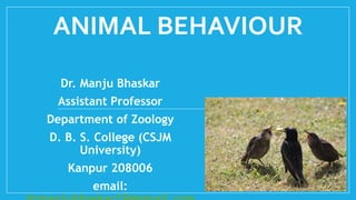 ANIMAL BEHAVIOUR
Dr. Manju Bhaskar
Assistant Professor
Department of Zoology
D. B. S. College (CSJM
University)
Kanpur 208006
email:
 
