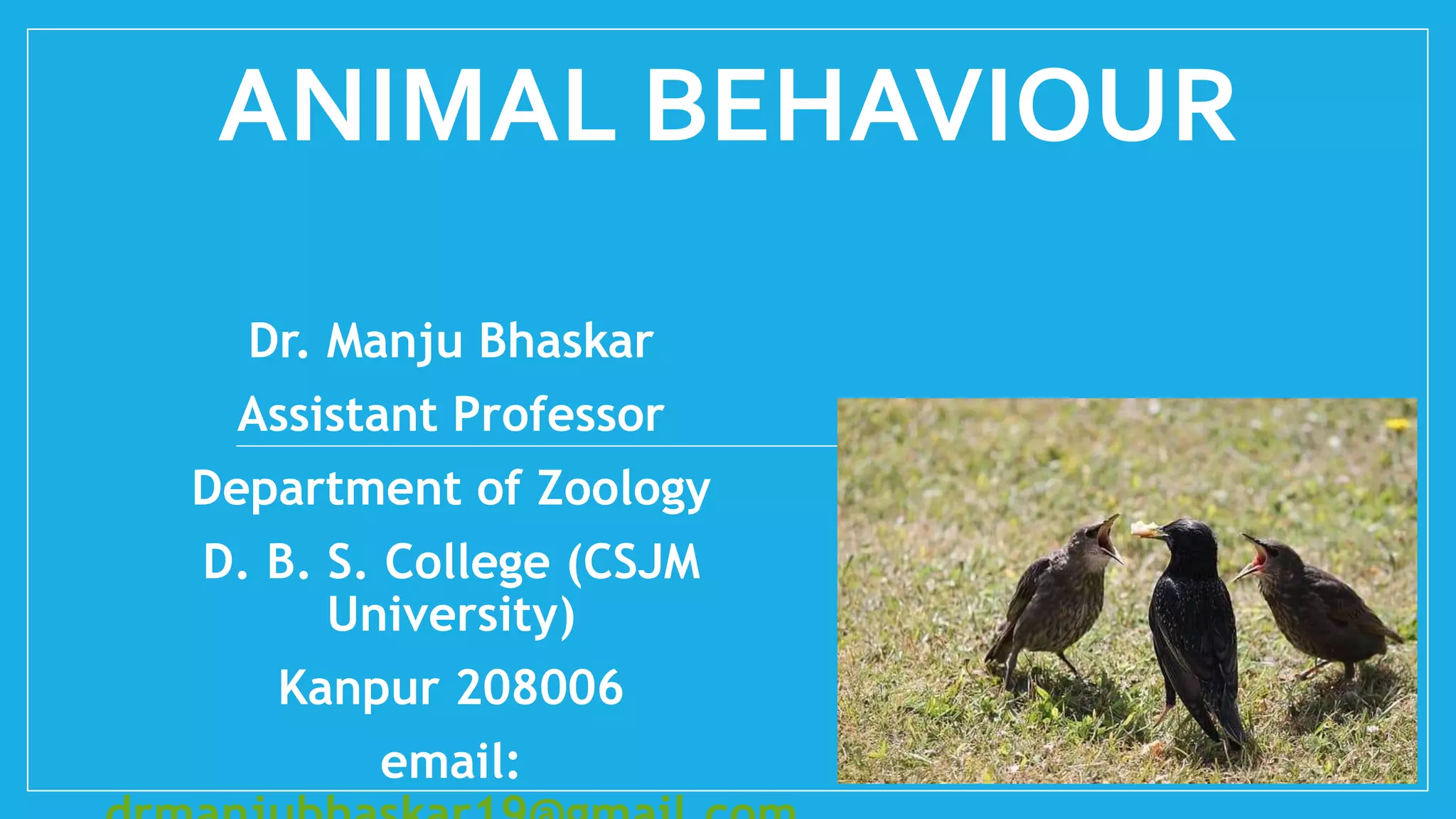 Animal Behaviour.pptx