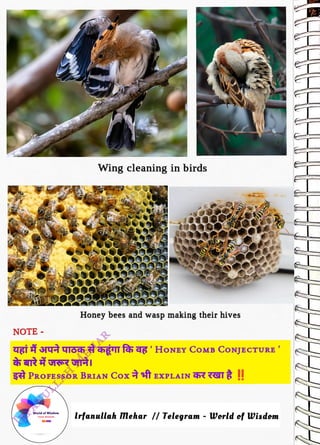 NOTE -
<br>
Wing cleaning in birds
<br>
gi rqt locs hg feh ag' HONEY CoMB CoNJECTURE
<br>
World of Wisdom
<br>
OR WISDOM
<br>
Honey bees and wasp making their hives
<br>
$ PROFESSOR BRIAN Cox tEXPLAIN h
TaT !
<br>
YOU
<br>
lrfanullah Mehar //Telegram - World of Wisdom
<br>
 