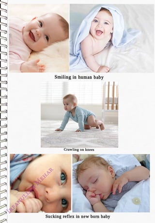 Smiling in human baby
<br>
Crawling on knees
<br>
Sucking reflex in new born baby
<br>
 