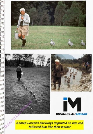 M
<br>
IRFANULLAH MEHAR
<br>
Konrad Lorenz's ducklings imprinted on him and
<br>
followed himlike their mother
<br>
 