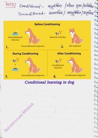 1.
<br>
3.
<br>
Uncon ditme
<br>
Unconditioned
<br>
stimulus
<br>
Before Conditioning
<br>
Unconditioned response
<br>
During Conditioning
<br>
Unconditioned response
<br>
Neutral stimulus
<br>
2.
<br>
4.
<br>
Conditioned
<br>
stimulus
<br>
No response
<br>
After Conditioning
<br>
Conditioned response
<br>
Conditional learning in dog
<br>
 