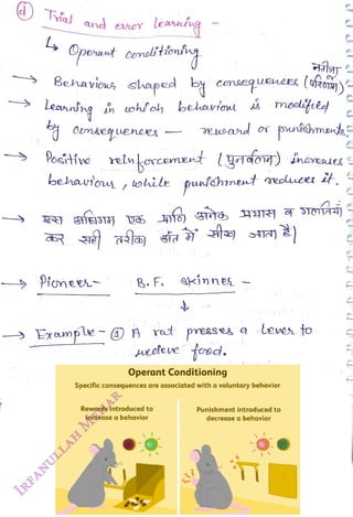 d) Tal and
er
<br>
Operant condlitiom
<br>
Beha viou shaped by comsequeneen (aROH)
<br>
Én ohfoh belariont molifea)
<br>
Leanudng
<br>
Positfve einkorcement lyran) inereaes
<br>
behaeu
,
ohile punfchrnent reueer it.
<br>
Pionee
<br>
B.Fe Skinnes
<br>
uealeve foocd.
<br>
Operant Conditioning
<br>
puntahmad
<br>
Rewards introduced to
<br>
increase a behavior
<br>
Lever to
<br>
Specific consequences are assoiated witha voluntary behavior
<br>
Punishment introduced to
<br>
decrease a behavior
<br>
 