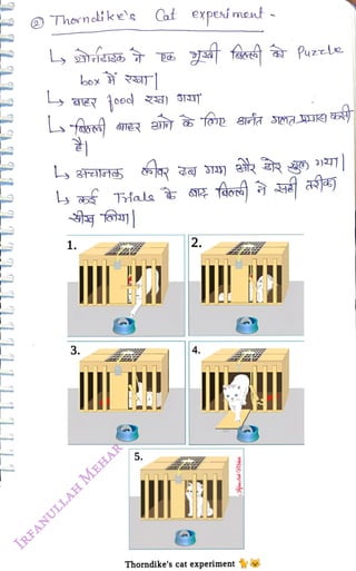 Thonike's
<br>
1.
<br>
3.
<br>
5.
<br>
Cat expeí ment
<br>
2.
<br>
4.
<br>
Thorndike's cat experiment
<br>
 