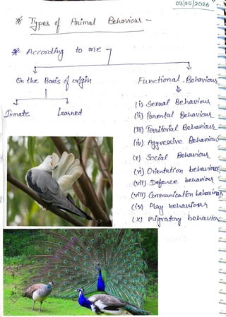 Gn the Basis
<br>
Domate
<br>
Anímal
<br>
to 0ne
<br>
Leahned
<br>
Pehavisu
<br>
0slos|2026
<br>
Functinal Behaviu
<br>
(n) Panenal Behavous
<br>
(H) Tenitorfel Belaviaus
<br>
(i)Aggressive Bekavinf
<br>
r) Social Beharouy
<br>
(Y) Otentuttoy belarou
<br>
(vij Deleuuee behavwa
<br>
en (v mmntoaton belevint,
<br>
(iy Play bolauo
<br>
 