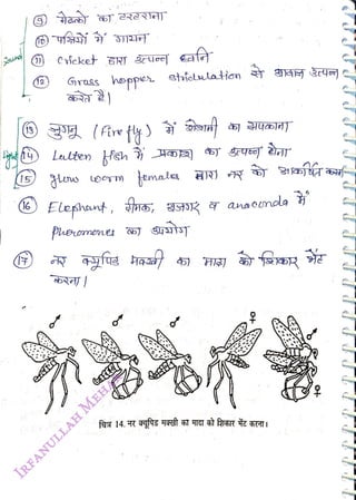 (12
<br>
Grass hoppe ehiclulation 3|JAE Žrye]
<br>
(6 Eleshant,
<br>
Pheomenes
<br>
temale
<br>
,
HR anaonde
<br>
) H
<br>
t0
<br>
 