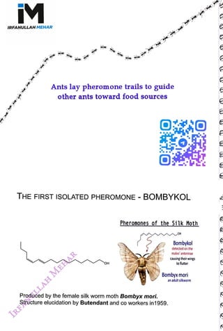 M
<br>
IRFANULLAH MEHAR
<br>
Ants lay pheromone trails to guide
<br>
other ants toward food sources
<br>
THE FIRST ISOLATED PHEROMONE -
BOMBYKOL
<br>
OH
<br>
Pheromones of the Silk Moth
<br>
oH
<br>
Bombykol
<br>
Produced by the female silk worm moth Bombyx mori.
<br>
Structure elucidation by Butendant and co workers in1959.
<br>
detected on the
<br>
males' antennae
<br>
causing their wings
<br>
to flutter
<br>
Bombyx mori
<br>
an adult silkworm
<br>
 