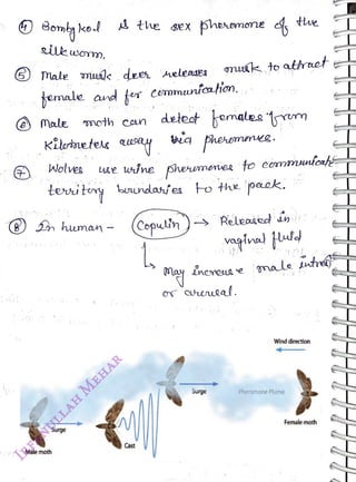 silkwm.
<br>
6) Mae uák deer heleases muak to athret
<br>
temale and fer civomunfoaion.
<br>
Mole
<br>
the 8ex phenone s
<br>
8) human
<br>
Male moth
<br>
moth con
<br>
Surge
<br>
Wolves Uuse wine phemenes fo eomnmuntcaf
<br>
tei tory bnundanes to the pack.
<br>
Cast
<br>
deteot kemales rm
<br>
pheremnve.
<br>
(Copul'n ) Releatecd an
<br>
tue
<br>
neneLs e male tr
<br>
Surge
<br>
Wind direction
<br>
Pheromone Plume
<br>
Female moth
<br>
 