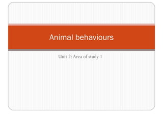 Animal Behaviours