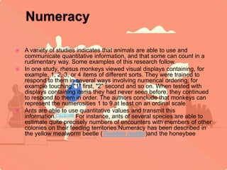 animal behaviour topic reasoning.PPTX