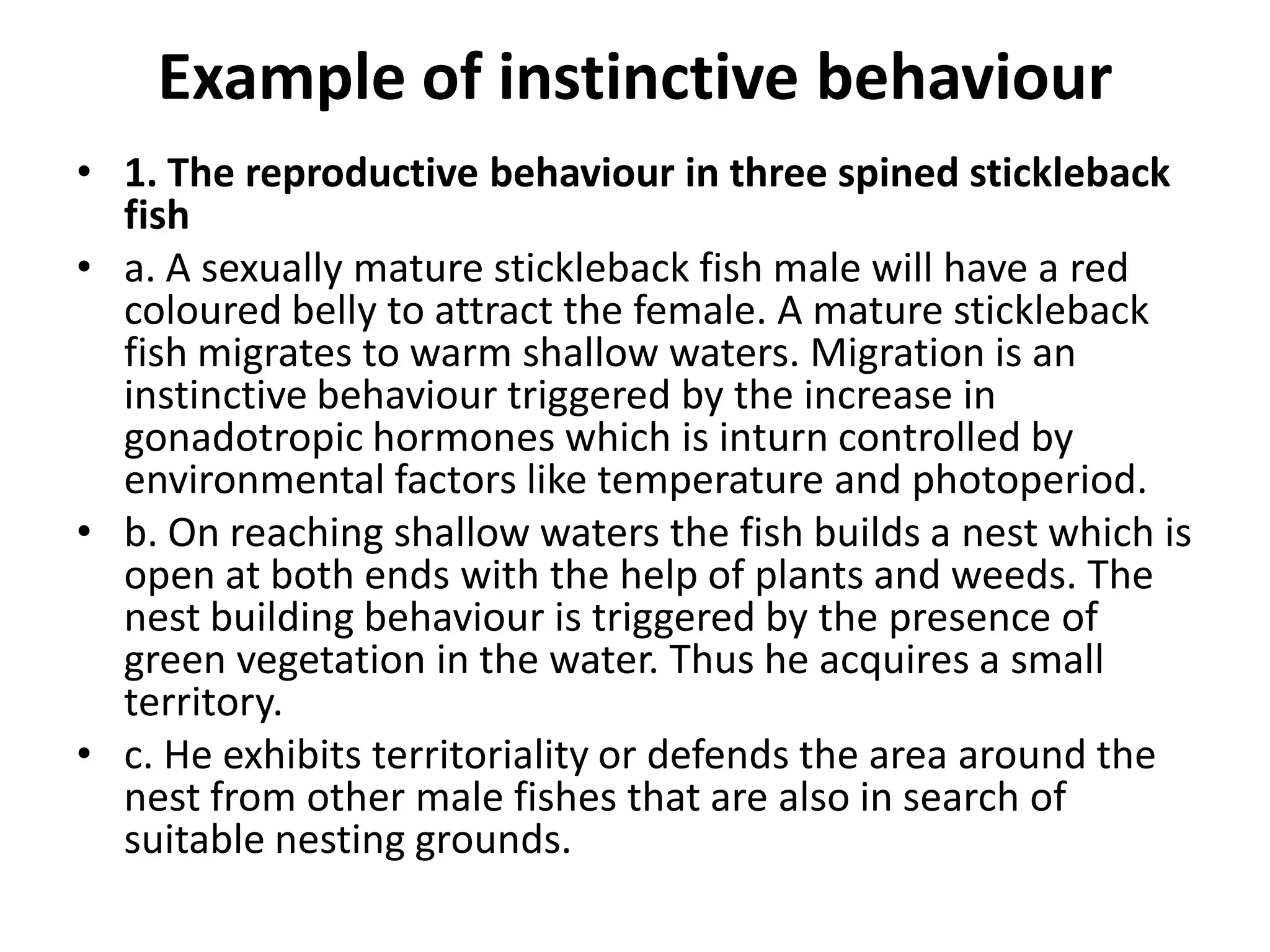 Example of instinctive behaviour
• 1. The reproductive behaviour in three spined stickleback
fish
• a. A sexually mature stickleback fish male will have a red
coloured belly to attract the female. A mature stickleback
fish migrates to warm shallow waters. Migration is an
instinctive behaviour triggered by the increase in
gonadotropic hormones which is inturn controlled by
environmental factors like temperature and photoperiod.
• b. On reaching shallow waters the fish builds a nest which is
open at both ends with the help of plants and weeds. The
nest building behaviour is triggered by the presence of
green vegetation in the water. Thus he acquires a small
territory.
• c. He exhibits territoriality or defends the area around the
nest from other male fishes that are also in search of
suitable nesting grounds.
 