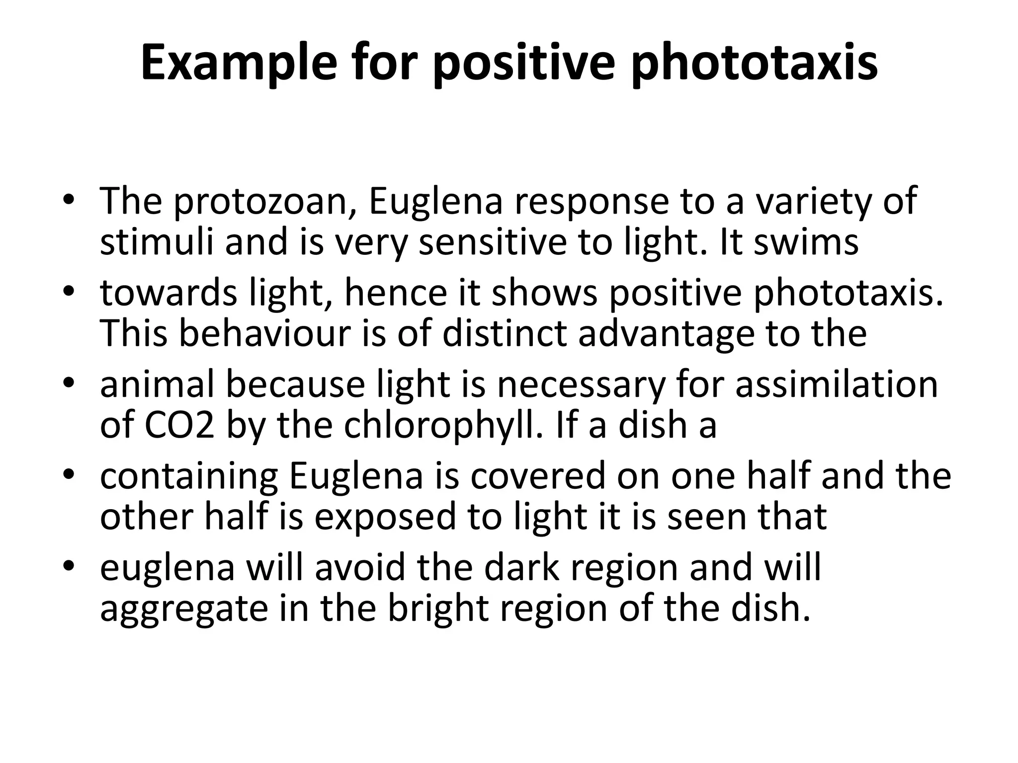 Example for positive phototaxis
• The protozoan, Euglena response to a variety of
stimuli and is very sensitive to light. It swims
• towards light, hence it shows positive phototaxis.
This behaviour is of distinct advantage to the
• animal because light is necessary for assimilation
of CO2 by the chlorophyll. If a dish a
• containing Euglena is covered on one half and the
other half is exposed to light it is seen that
• euglena will avoid the dark region and will
aggregate in the bright region of the dish.
 
