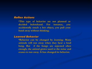 Animal beh vior | PPT