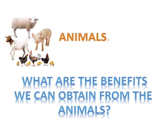 Animal benefits