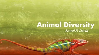 Animal Diversity
Rowel P. David
 