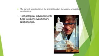  The current organization of the animal kingdom shows some unexpected
relationships.
• Technological advancements
help to clarify evolutionary
relationships.
 