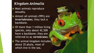 Kingdom Animalia
 Most animals reproduce
sexually.
 Almost all animals (99%) are
invertebrates; they lack a
backbone.
 Of more than 1 million living
species, only about 42,500
have a backbone; they are
referred to as vertebrates.
 The animal kingdom includes
about 35 phyla, most of
which live in the sea.
 