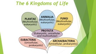The 6 Kingdoms of Life
 