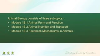 Animal Biology.pdf