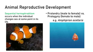 Animal Biology.pdf