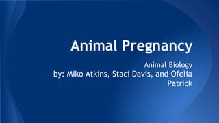 Animal Pregnancy
Animal Biology
by: Miko Atkins, Staci Davis, and Ofelia
Patrick
 