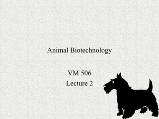 Animal Biotechnology VM 506 Lecture 2 