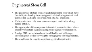 Engineered Stem Cell
• The properties of stem cells are undifferentiated cells which have
the ability to develop into any type of cell (including somatic and
germ cells), leading to the production of a full organism.
• Embryonic stem cells have been developed in vitro for a long
period of time .
• The appropriate DNA sequence is inserted into an in vitro culture
of embryonic stem (ES) cells using homologous recombination.
• Foreign DNA can be introduced into ES cells, and utilizing a
selection gene, clones carrying the foreign gene can be generated.
• These cells can be used to make transgenic chimeric mice
 