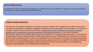 Analysis of mRNA production:
The mRNA produced from a transgene can be detected as it is different from the native mRNA of the organisms. These can be purified and
hybridized with a radioactive probe to detect mRNA production.
Analysis of protein expression:
The final aim of transgenic integration is to produce proteins coded by the transgene and its efficient expression.
Therefore the detection of transgene integration is possible by protein expression of the transgene. The analysis of
transgenic proteins can be done by two methods: by identifying specific antibodies produced by transgenic
proteins and by studying the enzymatic properties of the concerned proteins. In the case of antibody
identification, various immunologic assays can be used. ELISA test is a classic example of the same. In this case, the
antibody specific to the antigenic protein is added and allowed to react. Following the first reaction, this is further
reacted with an antibody specific to the former antibody results in formation of a complex. This when treated with
the substrate of corresponding enzyme, it produces colour proportional to the strength of the antibody indicating
the amount of corresponding transgenic protein expressed. The other assays included are immunoblotting,
radioimmunoprecipitation, immunohistochemical staining etc.
 