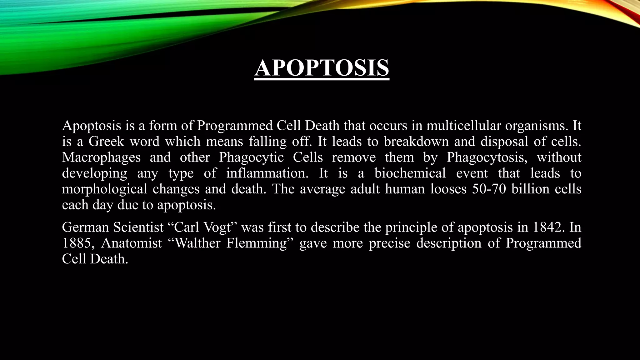 Apoptosis and Measurement of Cell Death | PPTX
