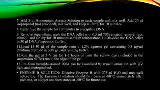 Apoptosis and Measurement of Cell Death | PPTX