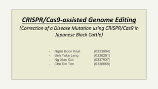 CRISPR/Cas9-assisted Genome Editing
(Correction of a Disease Mutation using CRISPR/Cas9 in
Japanese Black Cattle)
- Ngan Boon Keat (0333894)
- Beh Yoke Leng (0338291)
- Ng Xian Gui (0337937)
- Chu Sin Ton (0338668)
 