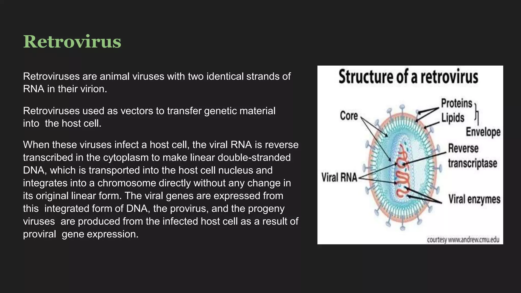 Vectors for gene transfer in animals: Retro virus | PPTX
