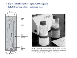 ANIMAL BIOTECHNOLOGY. Cell culture and its types | PPTX