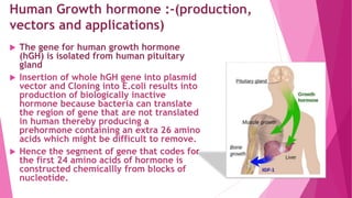 Human Growth hormone :-(production,
vectors and applications)
 The gene for human growth hormone
(hGH) is isolated from human pituitary
gland
 Insertion of whole hGH gene into plasmid
vector and Cloning into E.coli results into
production of biologically inactive
hormone because bacteria can translate
the region of gene that are not translated
in human thereby producing a
prehormone containing an extra 26 amino
acids which might be difficult to remove.
 Hence the segment of gene that codes for
the first 24 amino acids of hormone is
constructed chemicallly from blocks of
nucleotide.
 