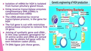  Isolation of mRNA for hGH is isolated
from human pituitary gland tissue.
 Using reverse transcriptase enzymes
complimentary DNA (cDNA) is
synthesized from mRNA
 The cDNA obtained by reverse
transcriptase process, is the gene for
hGH
 The full gene is cut with restriction
endonuclease enzyme to remove first
24 gene.
 Joining of synthetic gene and cDNA ,
in this step synthetic gene(gene for
24 amino acids) and cDNA are joined
in order to obtain full gene with its
own initiation codon (AUG).
 T4 DNA ligase join these genes.
 