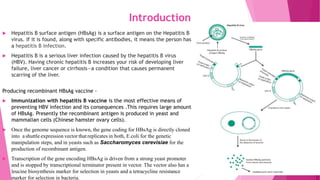 Introduction
 Hepatitis B surface antigen (HBsAg) is a surface antigen on the Hepatitis B
virus. If it is found, along with specific antibodies, it means the person has
a hepatitis B infection.
 Hepatitis B is a serious liver infection caused by the hepatitis B virus
(HBV). Having chronic hepatitis B increases your risk of developing liver
failure, liver cancer or cirrhosis—a condition that causes permanent
scarring of the liver.
Producing recombinant HBsAg vaccine -
 Immunization with hepatitis B vaccine is the most effective means of
preventing HBV infection and its consequences .This requires large amount
of HBsAg. Presently the recombinant antigen is produced in yeast and
mammalian cells (Chinese hamster ovary cells).
 Once the genome sequence is known, the gene coding for HBsAg is directly cloned
into a shuttle expression vector that replicates in both, E.coli for the genetic
manipulation steps, and in yeasts such as Saccharomyces cerevisiae for the
production of recombinant antigen.
 Transcription of the gene encoding HBsAg is driven from a strong yeast promoter
and is stopped by transcriptional terminator present in vector. The vector also has a
leucine biosynthesis marker for selection in yeasts and a tetracycline resistance
marker for selection in bacteria.
 