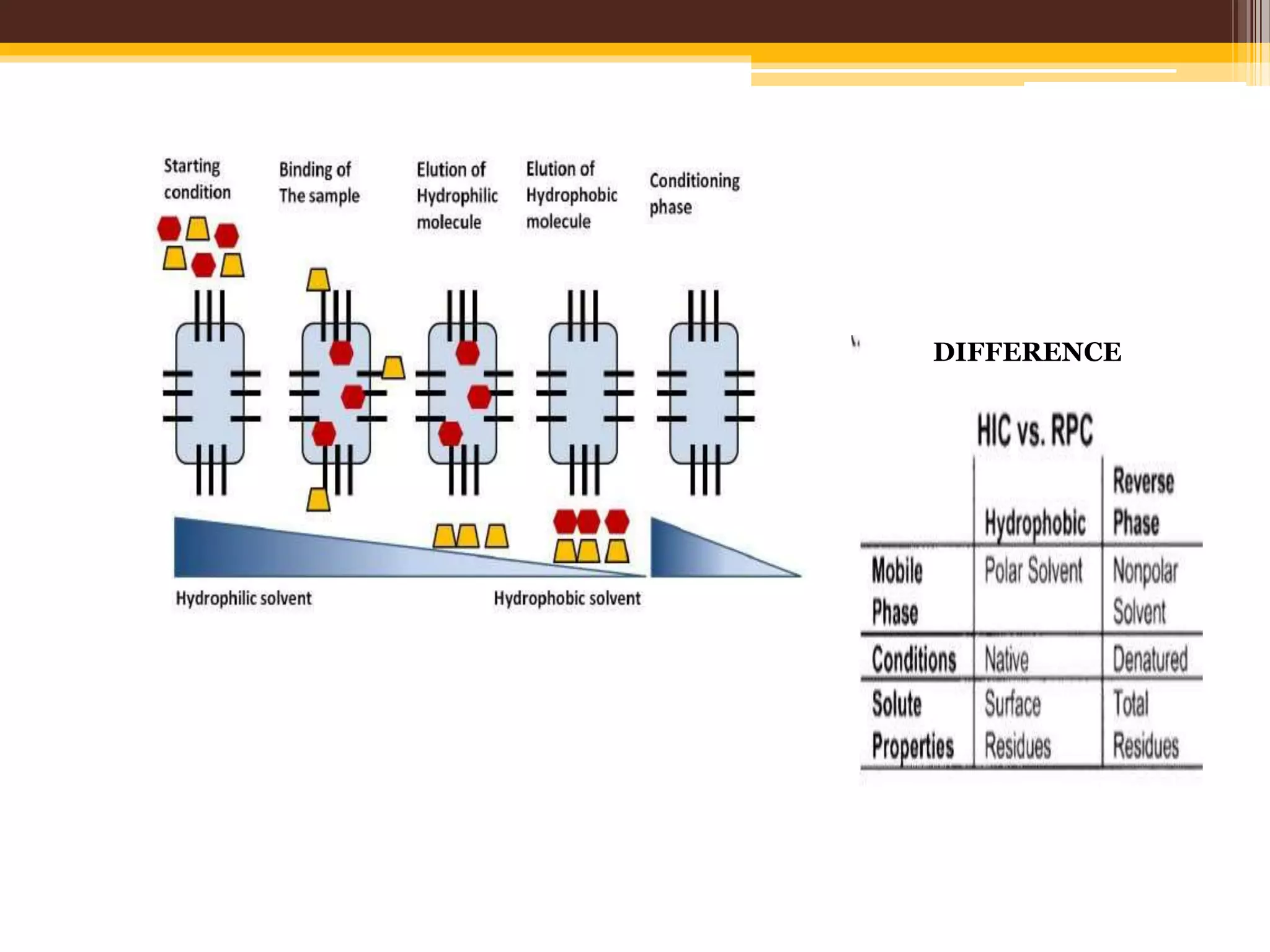 Production of recombinant proteins | PPTX