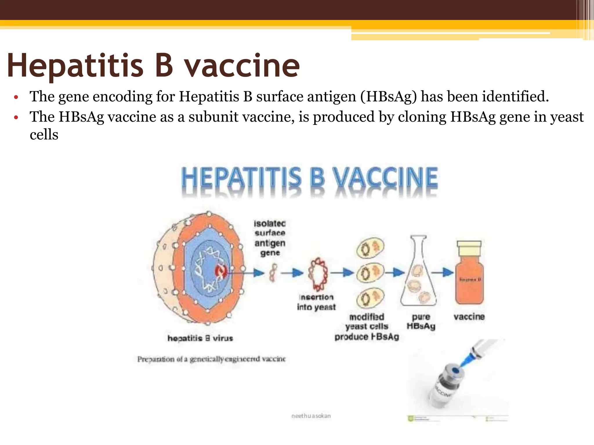 Production of recombinant proteins | PPTX