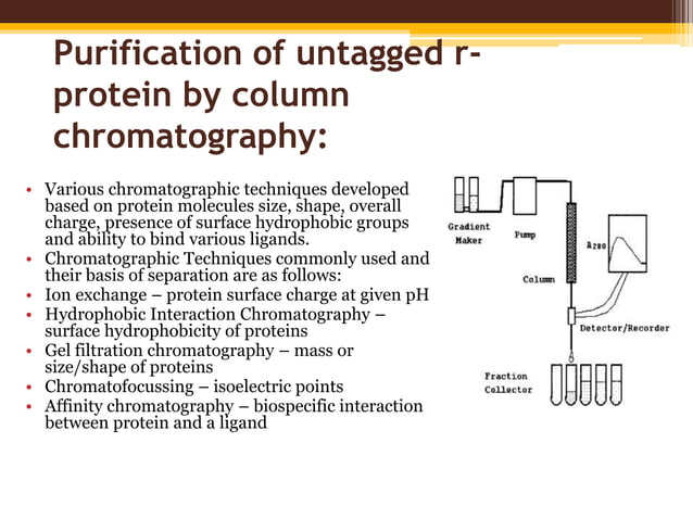 Production of recombinant proteins | PPTX