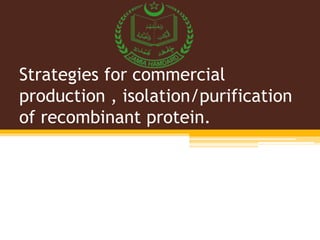 Strategies for commercial
production , isolation/purification
of recombinant protein.
 
