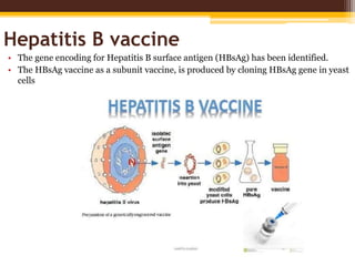 Hepatitis B vaccine
• The gene encoding for Hepatitis B surface antigen (HBsAg) has been identified.
• The HBsAg vaccine a...