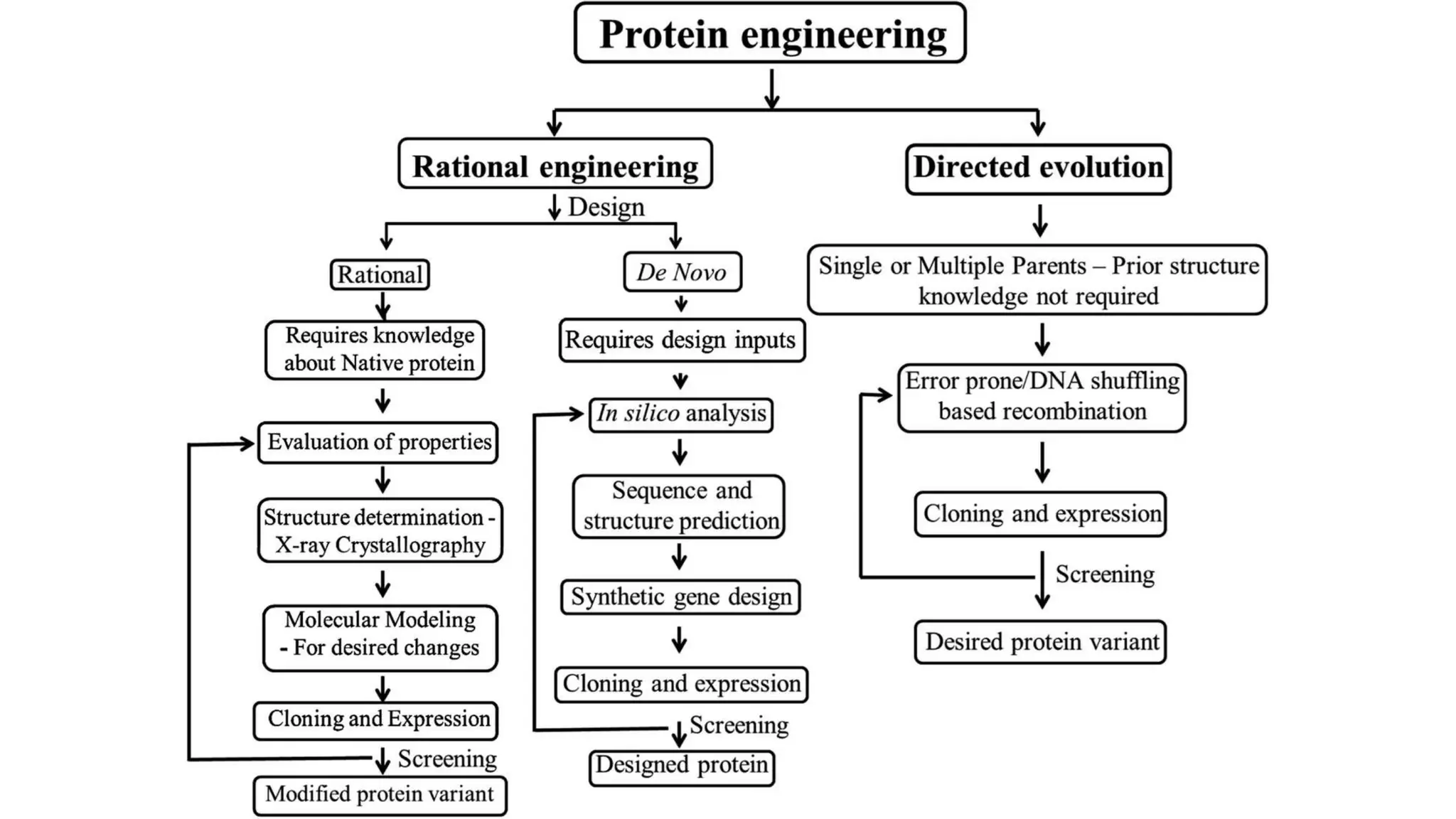 Protein Engineering Pptx