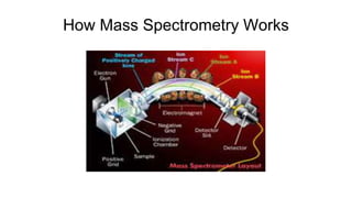 How Mass Spectrometry Works
 