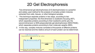 2D Gel Electrophoresis
Two-dimensional gel electrophoresis (2-D electrophoresis) is a powerful
and widely used method for the analysis of complex protein mixtures
extracted from cells, tissues, or other biological samples.
1. This technique separate proteins in two steps, according to two
independent properties: the first-dimension is isoelectric focusing (IEF),
which separates proteins according to their isoelectric points (pI); the
second-dimension is SDS-polyacrylamide gel electrophoresis (SDS-PAGE),
which separates proteins according to their molecular weights (MW).
2. In this way, complex mixtures consisted of thousands of different proteins
can be resolved and the relative amount of each protein can be determined.
 