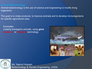 Md. Najmul Hossain
Biotechnology & Genetic Engineering, UODA
Animal Biotechnology:
Animal biotechnology is the use of science and engineering to modify living
organisms.
The goal is to make products, to improve animals and to develop microorganisms
for specific agricultural uses.
Examples:
creating transgenic animals, using gene
knock out or Knock in technology
 