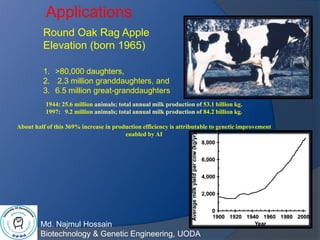 Md. Najmul Hossain
Biotechnology & Genetic Engineering, UODA
Round Oak Rag Apple
Elevation (born 1965)
1. >80,000 daughters,
2. 2.3 million granddaughters, and
3. 6.5 million great-granddaughters
1944: 25.6 million animals; total annual milk production of 53.1 billion kg.
1997: 9.2 million animals; total annual milk production of 84.2 billion kg.
About half of this 369% increase in production efficiency is attributable to genetic improvement
enabled by AI
Applications
 